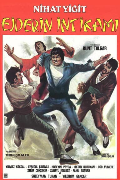 Ejderin İntikamı poster