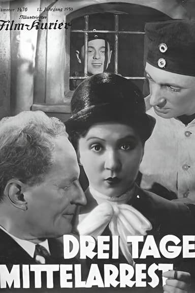 Three Days in the Guardhouse poster