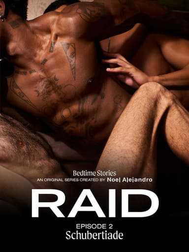 Bedtime Stories: RAID 2 - Schubertiade poster