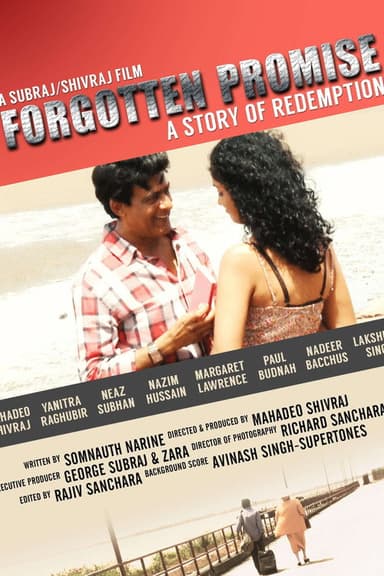 Forgotten Promise poster