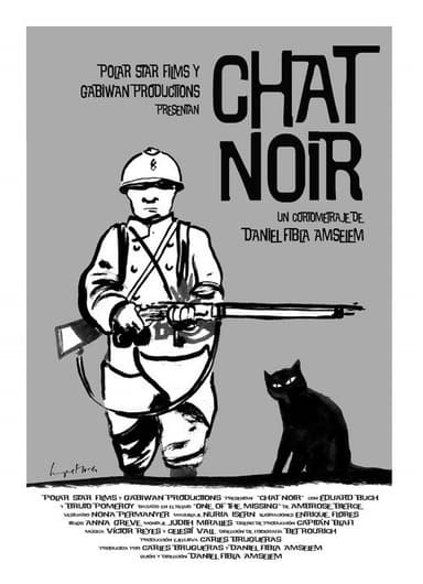 Chat noir poster