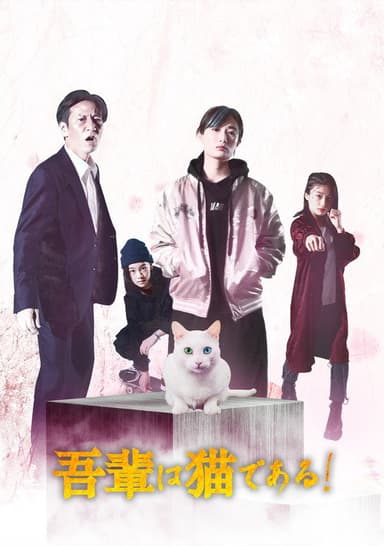 I'm a cat! poster