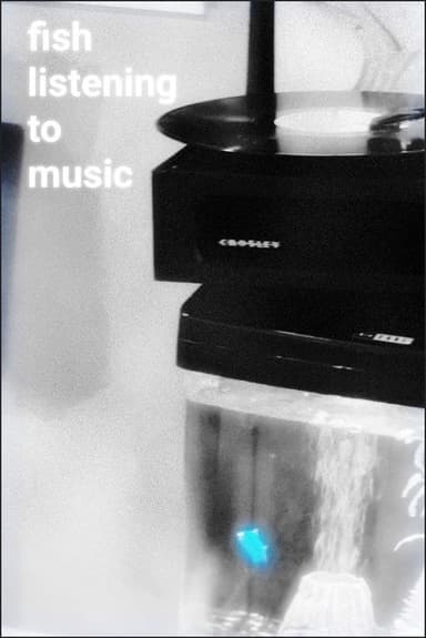 Fish Listening To Music poster