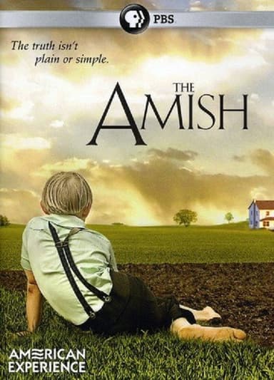 The Amish poster