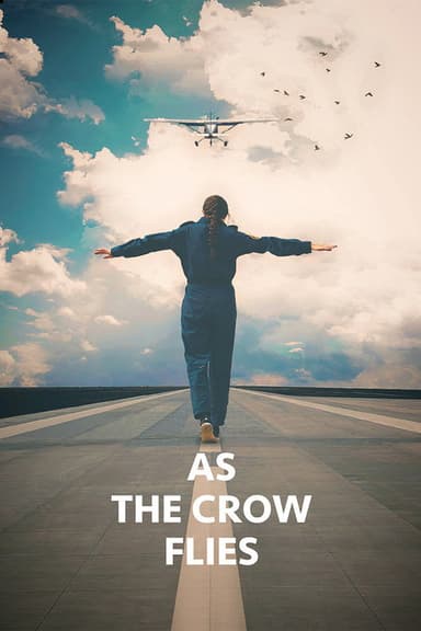 As the Crow Flies poster