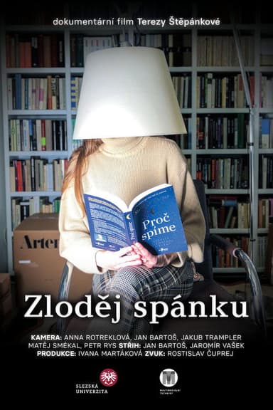 Zloděj spánku poster
