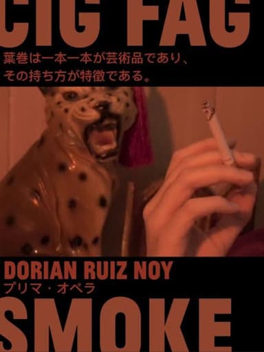 Cig Fag Smoke poster