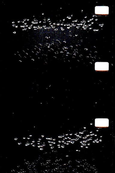Small Things Moving in Unison poster