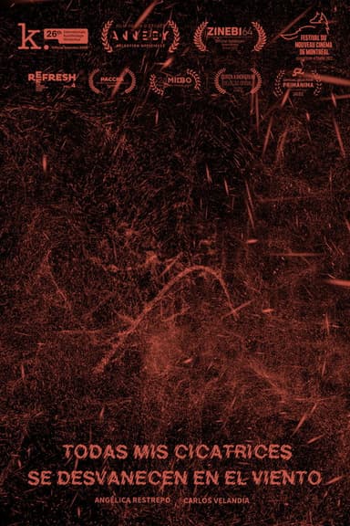 All My Scars Vanish in the Wind poster