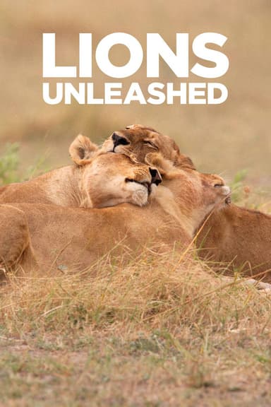 Lions Unleashed poster