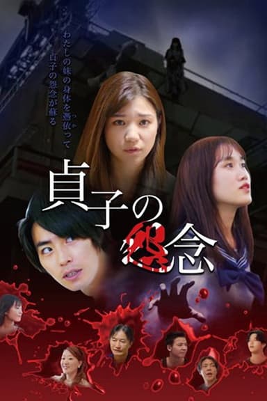 Sadako's Grudge poster
