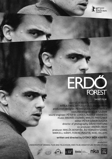 Forest poster