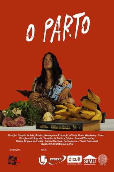 The Birth poster