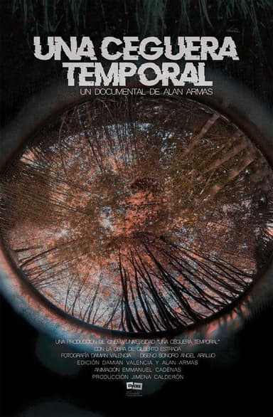Una Ceguera Temporal poster