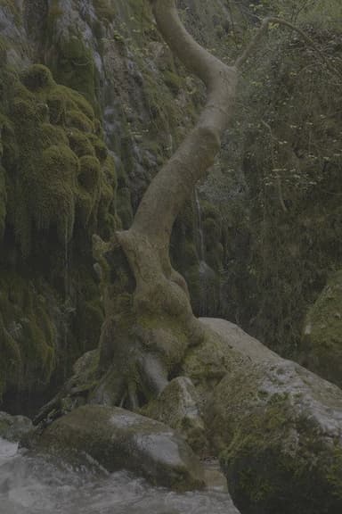 Along the Water poster