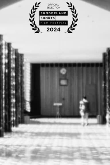 Light Noise poster