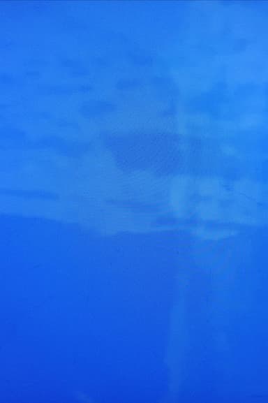 Imitation of Waves - Guy's Visions poster