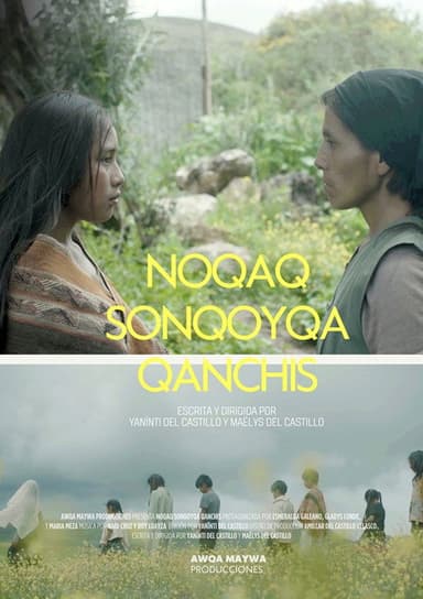 Noqaq sonqoyqa qanchis poster
