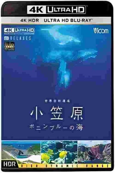 世界自然遺産 小笠原 ~ボニンプル-の海~ poster