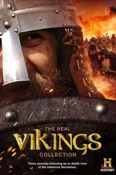 The Real Vikings poster