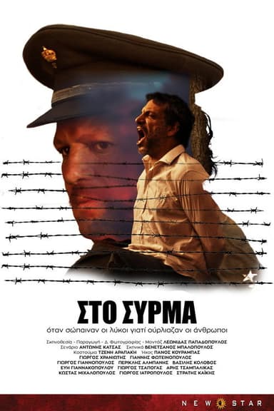 In Syrm poster