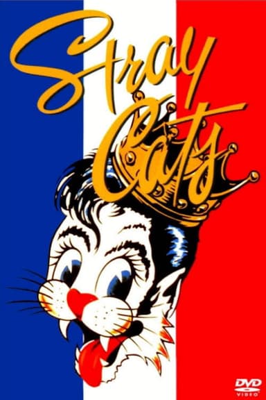 Stray Cats Rock Paris poster