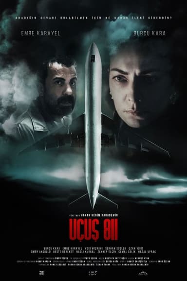 Flight 811 poster