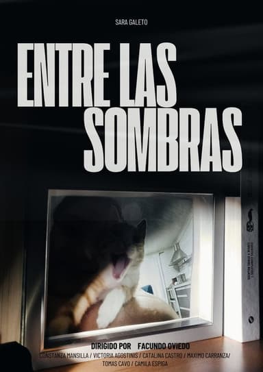 Entre las sombras poster