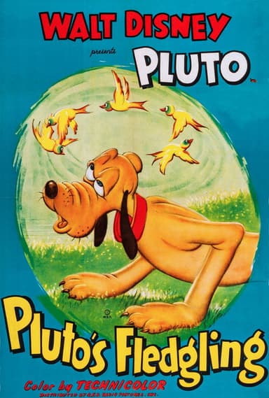 Pluto's Fledgling poster