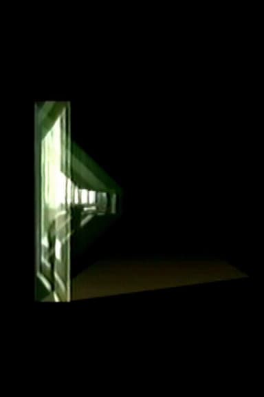 The Window poster