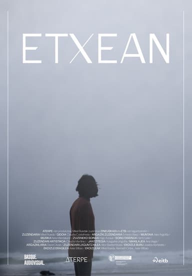 Home poster