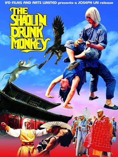 The Shaolin Chief Cook poster