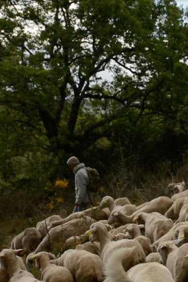 Marche ou Crève poster