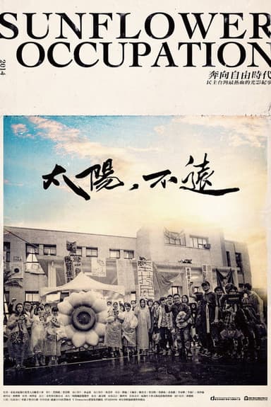 Sunflower Occupation poster