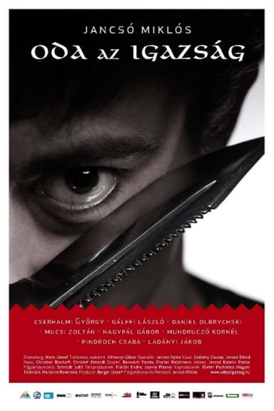 So Much for Justice! poster