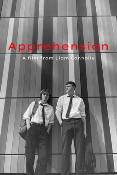 Apprehension poster