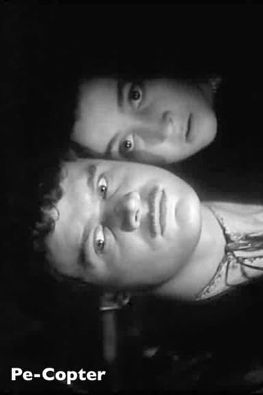 Pe-Copter poster
