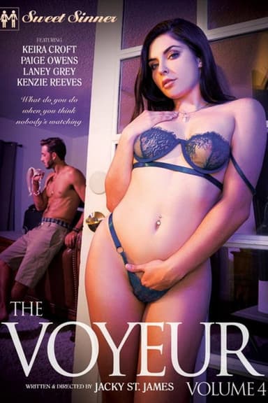 The Voyeur 4 poster