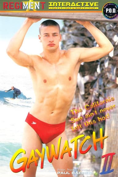 Gaywatch 2 poster