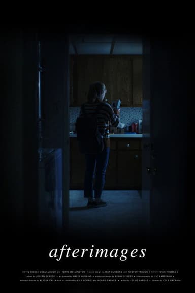Afterimages poster
