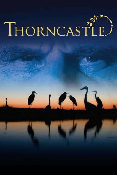 Thorn Castle poster