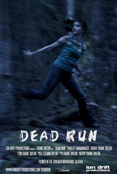 Dead Run poster
