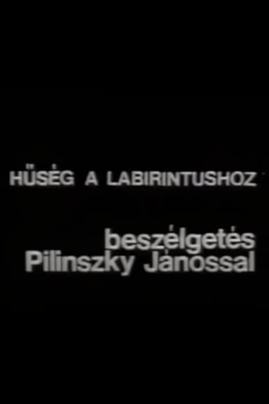 Hűség a labirintushoz – Beszélgetés Pilinszky Jánossal poster