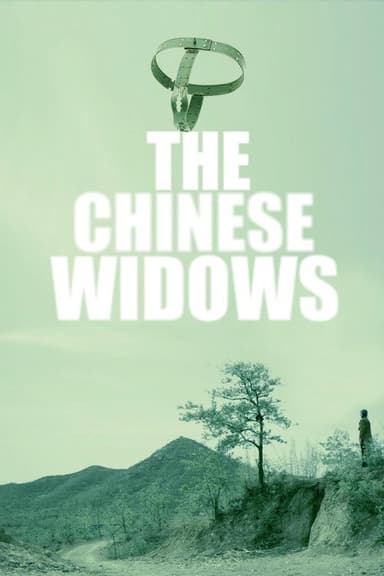 中国式寡妇 poster