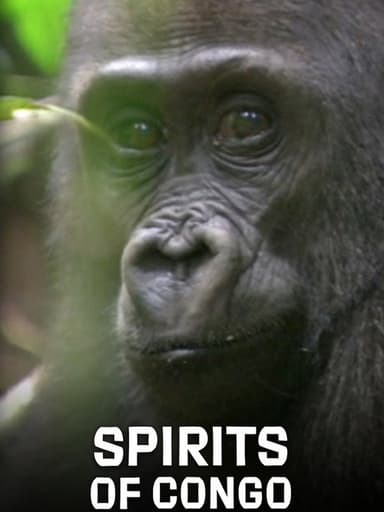 Spirits of Congo poster