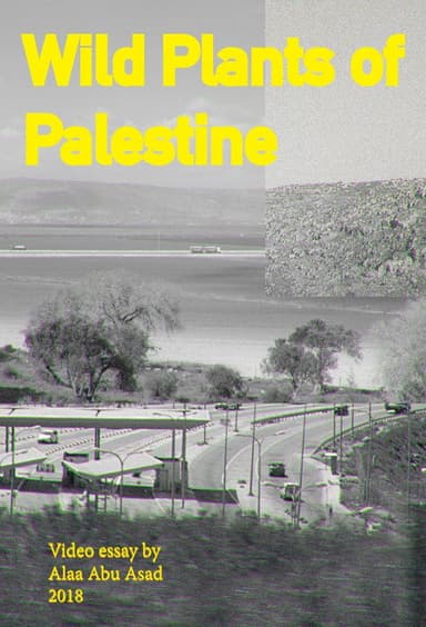 Wild Plants of Palestine poster