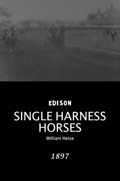Single Harness Horses poster