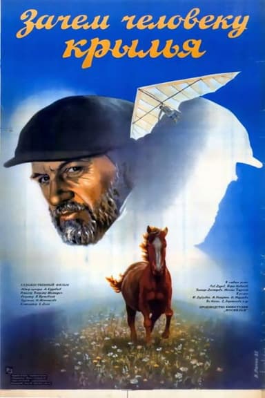 Why Does a Person Need Wings? poster