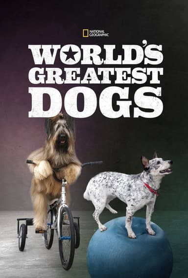 World's Greatest Dogs poster