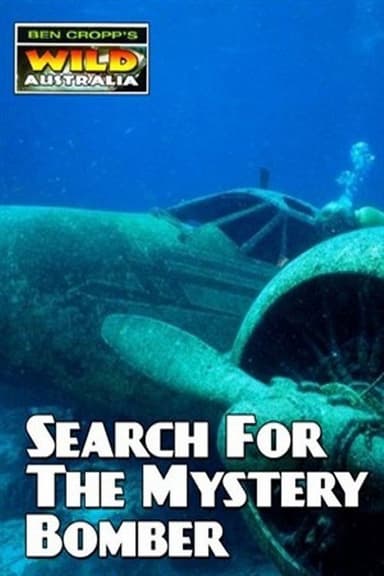 Search for the Mystery Bomber poster